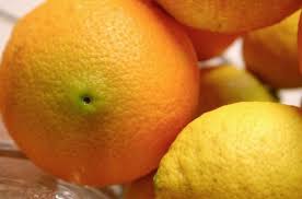 .mandarini, clementine, pompelmi, limoni e via dicendo, sono coltivati da almeno 4000 di anni e una serie di incroci successivi papà mandarino e nipote limone. Il Cra E Il Dna Degli Agrumi Lo Studio Italiano A Confronto Con Quello Cinese Agronotizie Economia E Politica