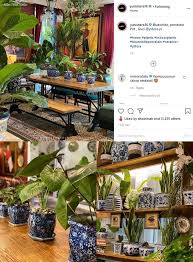 Yuni shara pun berpose di lorong ruangan rumahnya. Yuni Shara Pamer Rumah Asri Penuh Tanaman Hijau Publik Penasaran Tanya Ini