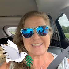 Why has the Dollar General construction in Interlachen stopped?