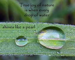 The addictive word puzzle game finally comes to the ipad! Nature Quote About A Drop Of Water Mother Nature Quotes Nature Quotes Nature Quotes Inspirational