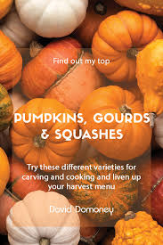 Pumpkins require 100 or more days to reach harvest. Top 12 Pumpkins Gourds And Winter Squash Varieties