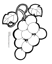 Untuk anak anak paud tk dan juga sd tentunya pernah diajari cara mewarnai gambar buah buahan dan mewarnai gambar gambar lainnya. 20 Gambar Buah Buahan Sketsa Cari Gambar Keren Hd