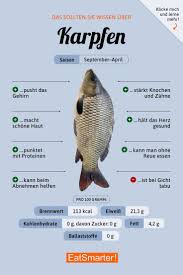 Karpfen Infografiken Karpfen Ernahrung Nahrstoffreiche Rezepte