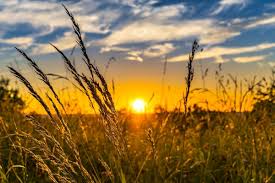 Summer solstice, the longest day of the year, falls on monday, june 21. Summer Solstice 2021 Celebrate The First Day Of Summer The Old Farmer S Almanac
