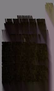 Image result for Syngonanthus robinsonii