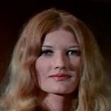 Watch Live TV, Movies, and TV Shows Free Online