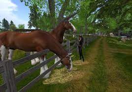 Maybe you would like to learn more about one of these? Own A Ranch In Second Life Play Horse Games Free Online Horse Games Virtual Horse Games