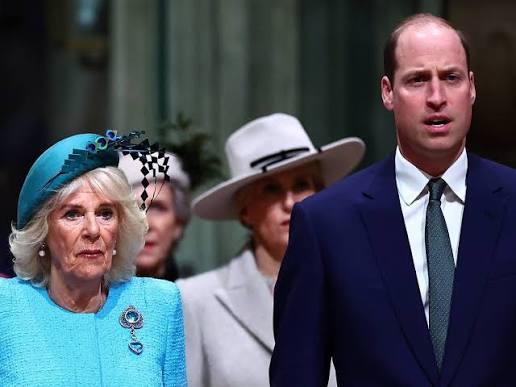 Princess Anne TAKES ACTION TO HELP William AVENGE Diana! Camilla Faces Her  WORST Day Yet! A significant moment unfolded at Windsor Castle as Prince  William, aided by Princess Anne, finally honored hi