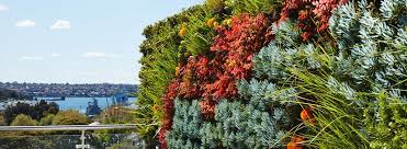 Image result for vertical garden description