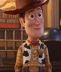 Toy Story's Woody Vest
