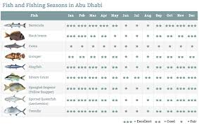 the best fishing season in uae fishfishme blog