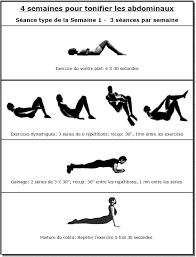 Tonifiez Les Abdominaux Transverses Grand Droits Et Obliques Avec Le Programme Gratuit De Mu Programme Abdos Comment Avoir Des Abdos Musculation Pour Debutant