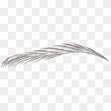 Eye Brows Png Hair Stroke Pattern Brows Transparent Png Eyebrows Png Brows Hair Stroke Eyebrows Eyebrows