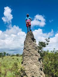 Look at this giant anthill.