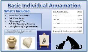 Cremation Services Pet Cremation Cost Pet Aquamation Atlanta Pet Cremation Cremation Services Paw Print