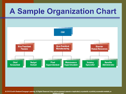 fundamentals of organization structure ppt video online