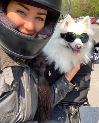 Luna Petunia here...dis is MY spot.