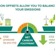 Carbon Offset Programs: The Complete Guide [2025]