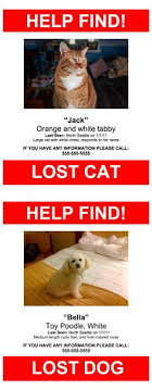 (software for banner, poster and sign creation with missing cat poster template included!) Lost Pet Poster Template