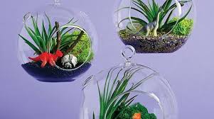 How To Make A Kid Friendly Terrarium With Images Terrarium Diy Kids How To Make Terrariums Dinosaur Room