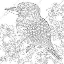 Zentangle coloring pages are a great way to create your own art by coloring unique doodle patterns. Coloring Pages For Adults Kookaburra Bird Australian Etsy In 2020 Animal Coloring Pages Coloring Pages Bird Coloring Pages