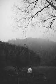 We did not find results for: Wallpaper Tumblr Black Sad Images Slike