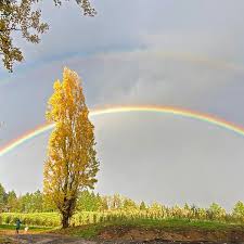 Holding Pornhub Accountable for Monetizing Child Rapes