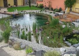 Hocke Schwimmteiche Schwimmteich Wasserspiel Garten Naturschwimmbecken