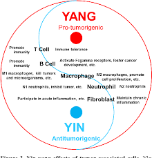 If you take any two things, one will be yin, and the other will be yang. Yin Yang Regulating Effects Of Cancer Associated Genes Proteins And Cells An Ancient Chinese Concept In Vogue In Modern Cancer Research Semantic Scholar