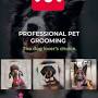 Kate's Dog Grooming Neath from m.facebook.com