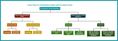 Rural coop banks account for 67% of the total asset and 67% of total branches of all cooperative. Structure Of Cooperative Credit Institutions In India By Kred In Kredhq Medium