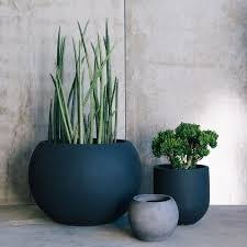Black And White Outdoor Plant Pots Image Result For Pots Black White And Grey Mixed Balcony Plants Garden Pots Planting Flowers