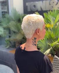 These days number of working women has people having white blond hair can go for this look. 15 Short White Hair Color Ideas Styles For 2021 Hairstylecamp