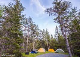 Schoodic Woods Campground Acadia National Park Camping Acadia National Park Camping Guide