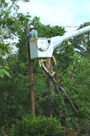 Последние твиты от maryville tn (@maryville). Electric Department Home Page