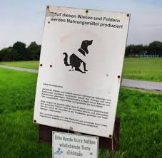 Egal wie du es auch betrachtest, es ist nicht angenehm, die haufen eines hundes aufzuheben. Acker Als Hundeklo Landwirte Warnen Vor Hundekot Welt