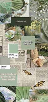 Sage Green Aesthetic Wallpaper In 2021 Iphone Wallpaper Green Green Aesthetic Tumblr Sage Green Wallpaper