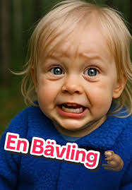 Inte Riktig Bävling Irma Och Marko