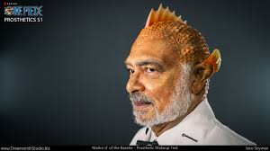 In Netflix's Onepiecenetflix live action adaptation of the manga and anime  series by Eiichiro Oda, many of the characters were shot with prosthetic  makeup. Jaco Snyman headed up the Prosthetic Department and