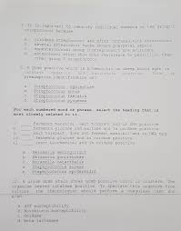 Image result for Group D Streptococcus