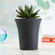 Our customer from all over the world, our business including wholesale plastic pot, if our website have any style you interested you can choose from there and let us know, we will give cheap price as we can. 13 5cm Round Thick Tall Plastic Pots Black White Colour Planter Flower Pots Succulent And Cactus House Plant Garden Shopee Malaysia