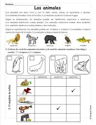 Ficha Animales Herbívoros Carnívoros Y Omnívoros Para Colorear