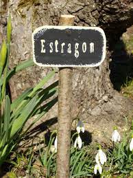 etiquette de jardin etiquette jardin jardin original decoration jardin