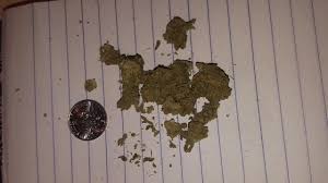 Well, if that's the case how much does the world weigh? Contest How Much Does This Weed Weigh Steemit