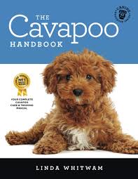 Maybe you would like to learn more about one of these? The Cavapoo Handbook The Essential Guide For New Prospective Cavapoo Owners Canine Handbooks Whitwam Linda 9781090854810 Amazon Com Books