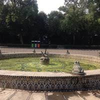 Maybe you would like to learn more about one of these? Fuente De Las Ranas Bosque De Chapultepec 1 0 Tips