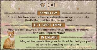 It also stands for darkness, isolation, and unimportance. Cat Symbolism Spirit Animal Dream Cat Spirit Animal Animal Totem Spirit Guides Animal Spirit Guides