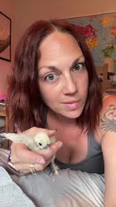 Why Does My Chicken Have A Swollen Neck