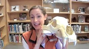 Member Program Wild California California Academy Of Sciences