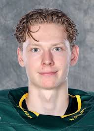 Player photos for the 2021-22 Bjorkloven IF at hockeydb.com